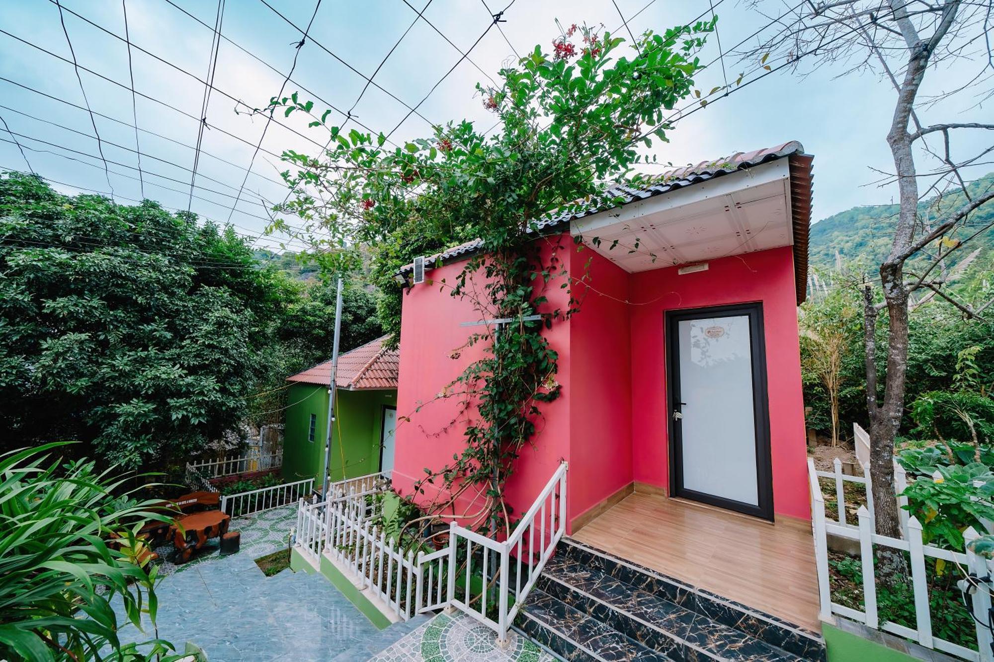 Windy Homestay Cat Ba Island Bagian luar foto